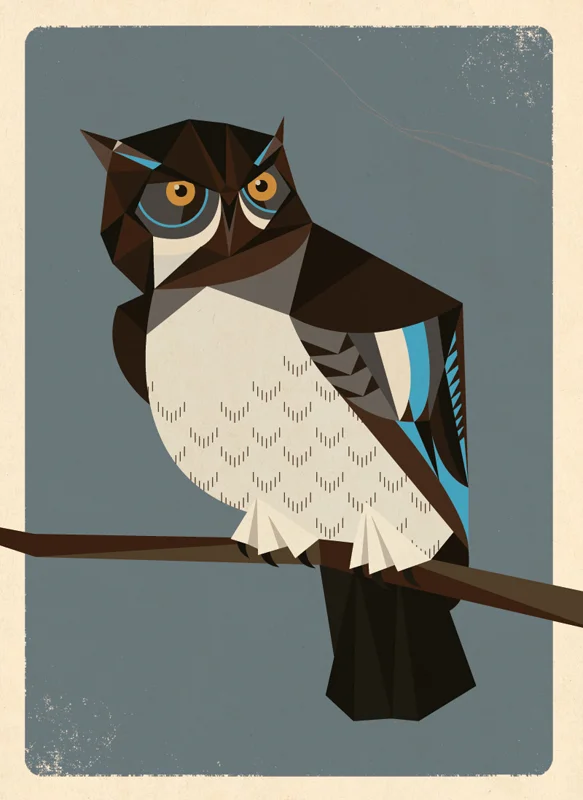 owl_good.jpg