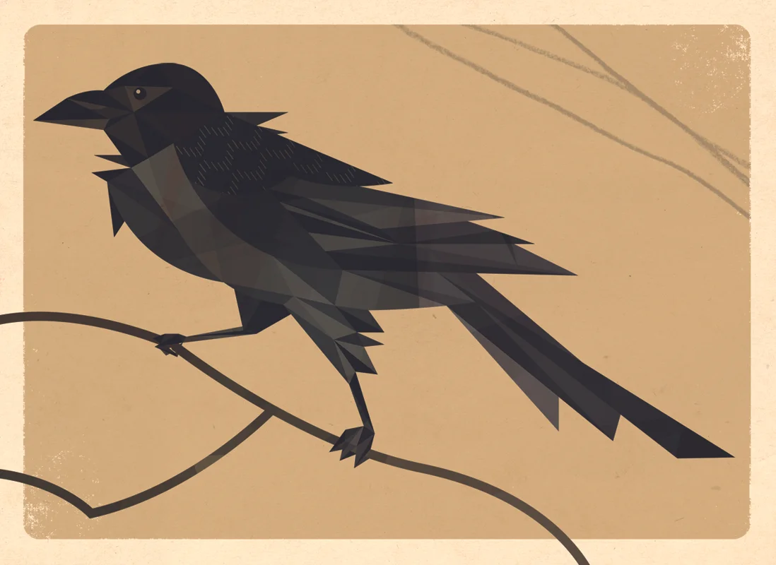 raven_good.jpg