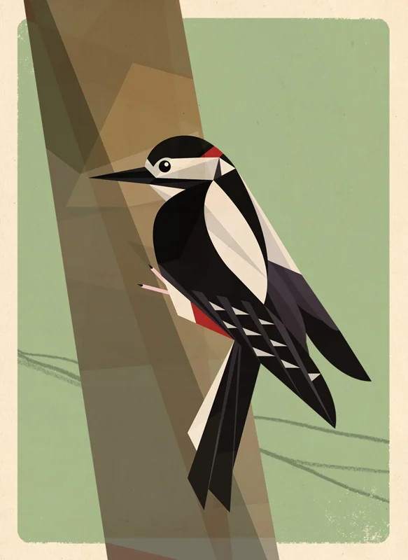 woodpecker_good.jpg