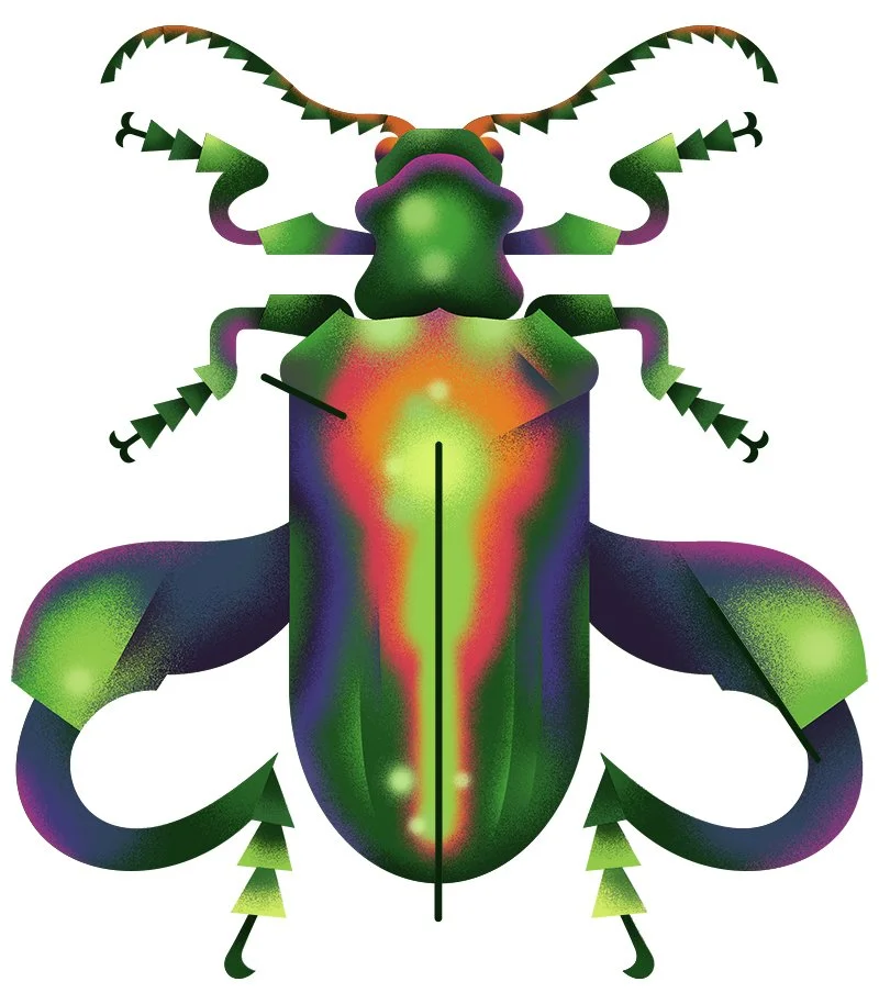 TTS_spot_frogbeetle_web.jpg