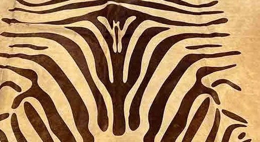 Detailed image of zebra. twwholesale.net