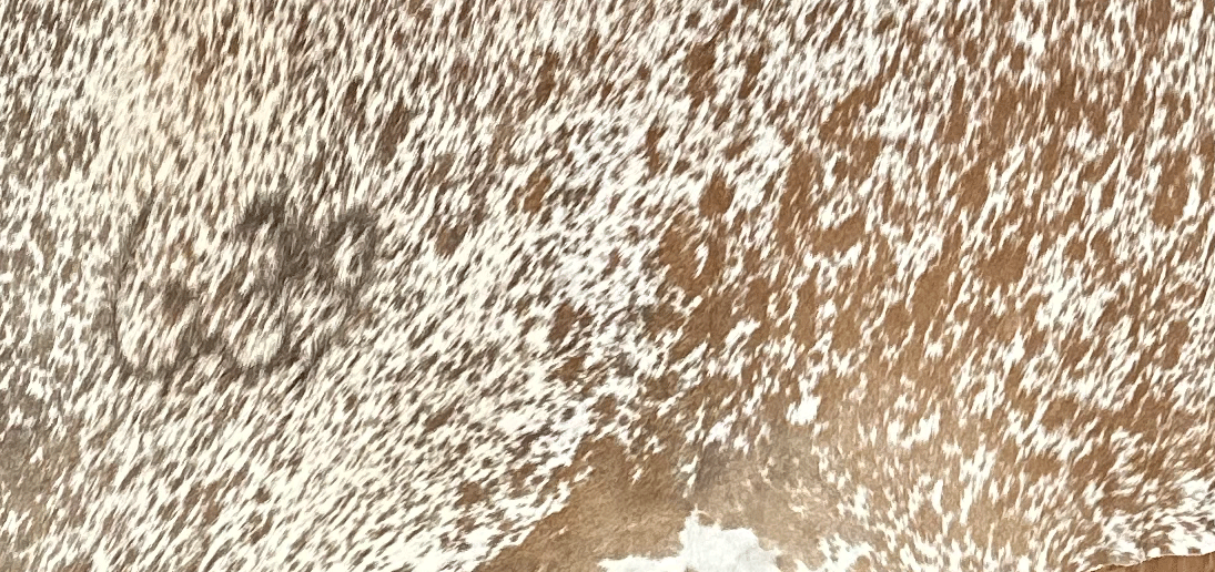 brown_white_salt_pepper_cowhide_1966.gif