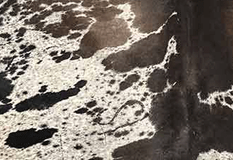 black_brown_white_grey_salt_pepper_cowhide_1971_sm.gif