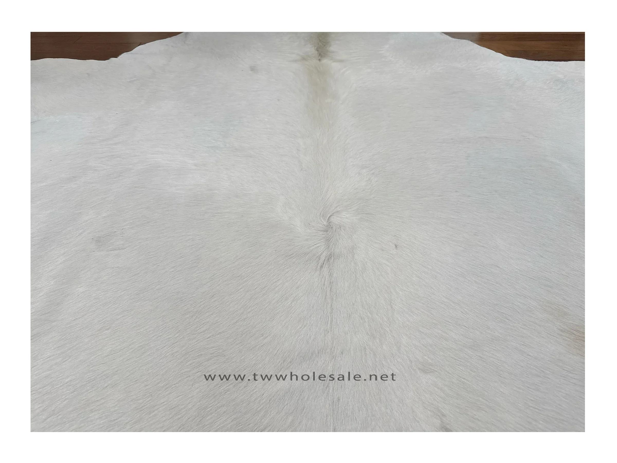 white closeup 2041.webp