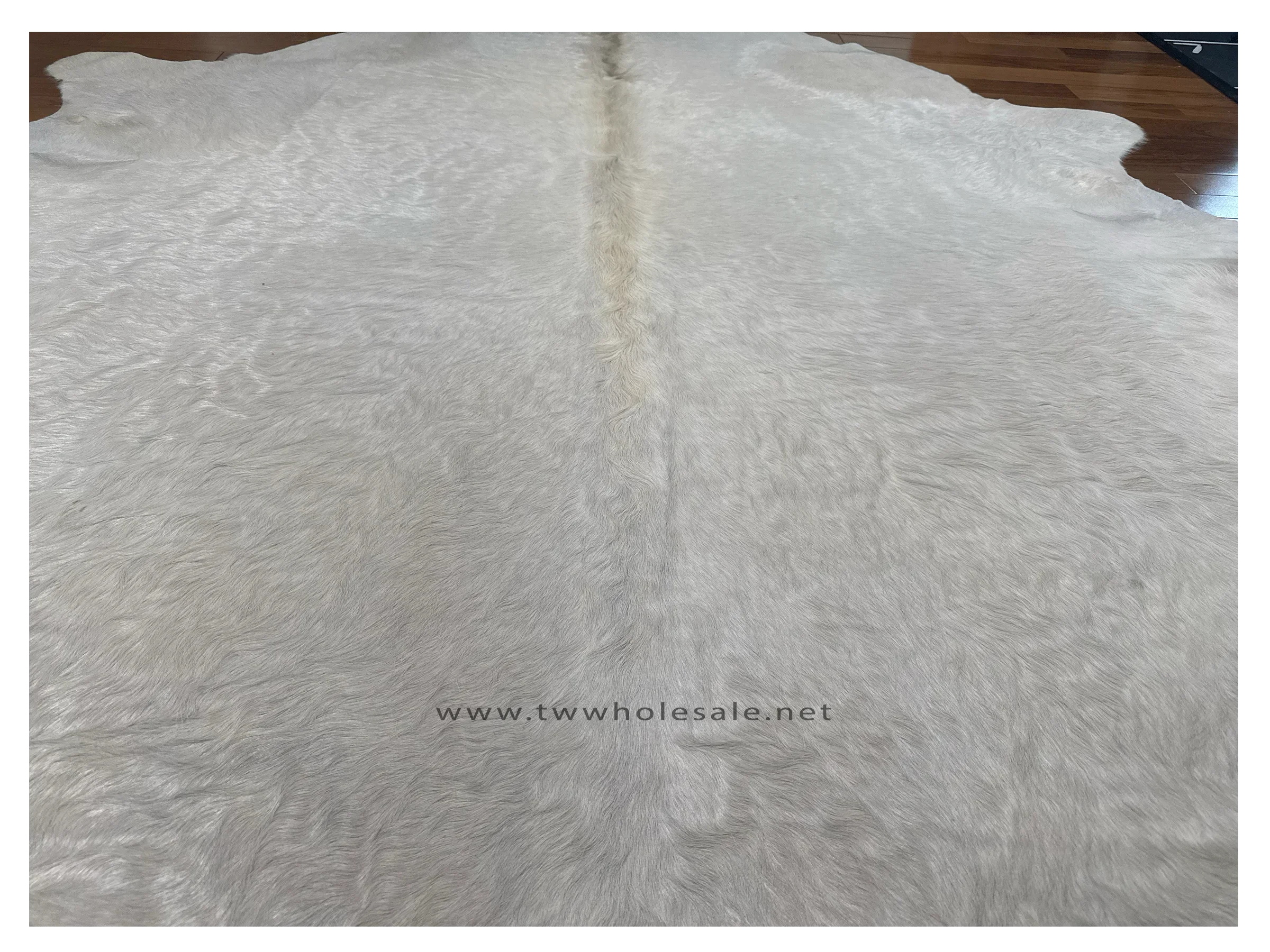 white closeup 2043.webp