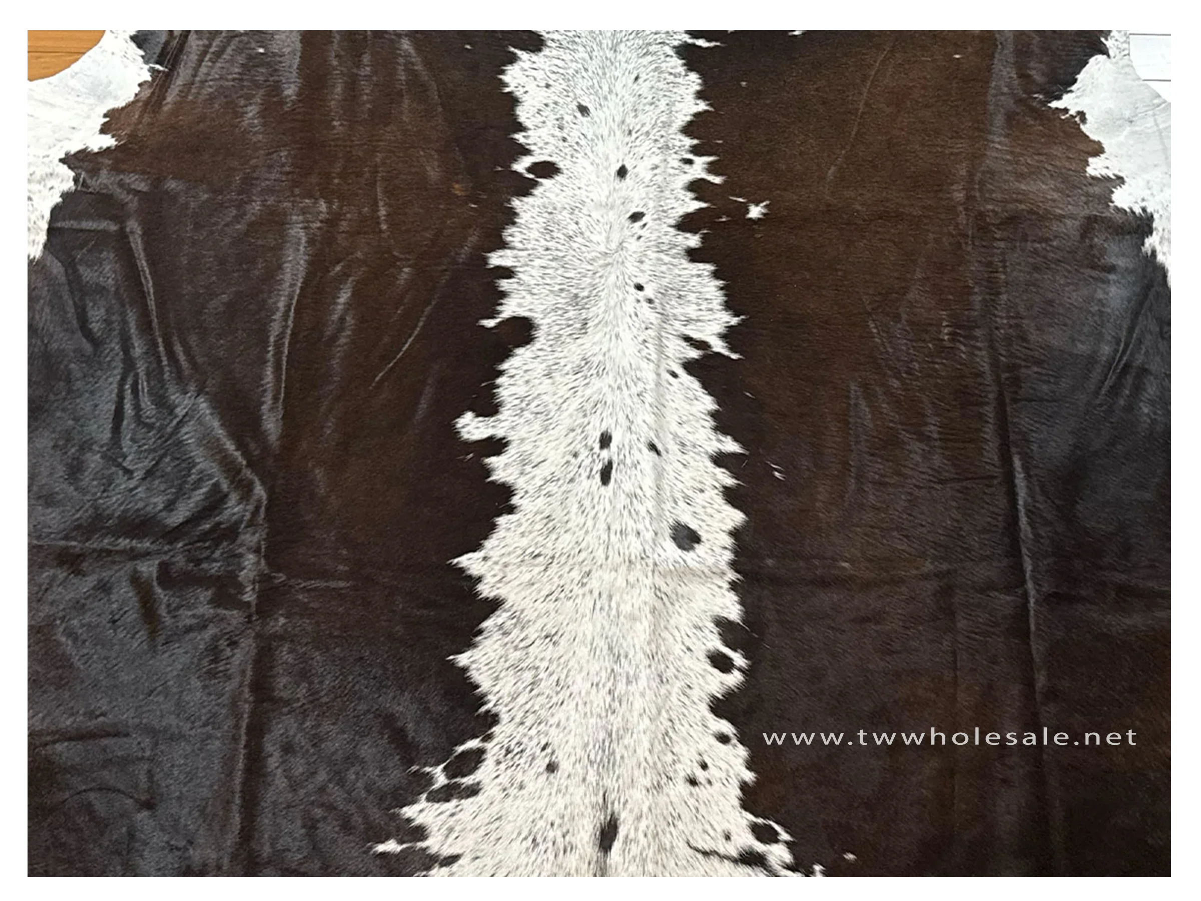 brown brown white backbone closeup of cowhide 2032