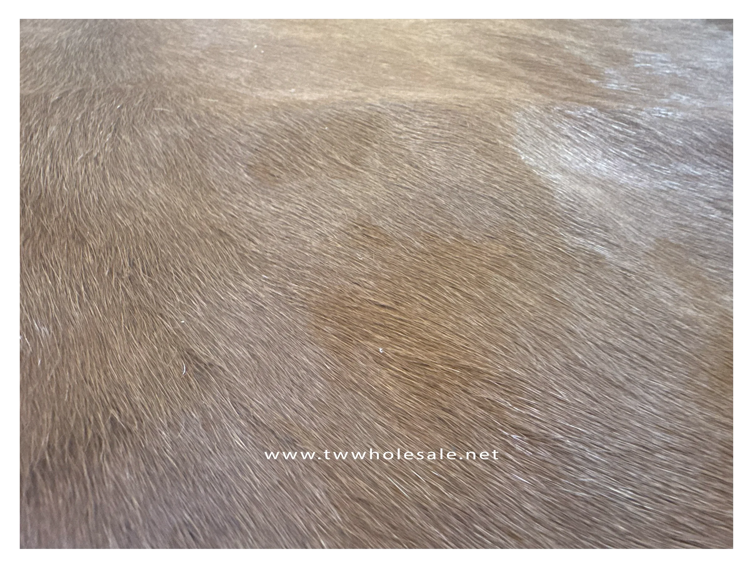 mahogany brown black white closeup rug 2018