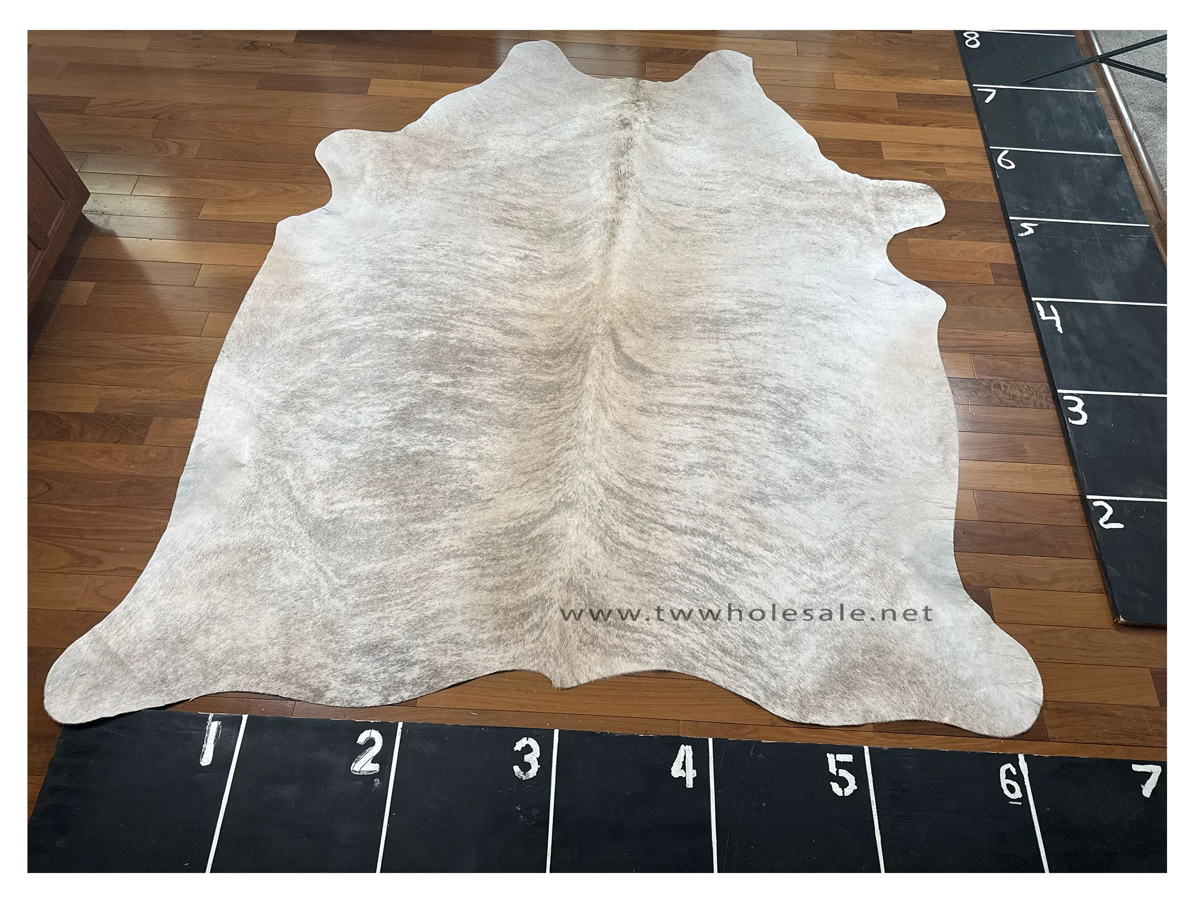 brindle grey white 2039.webp
