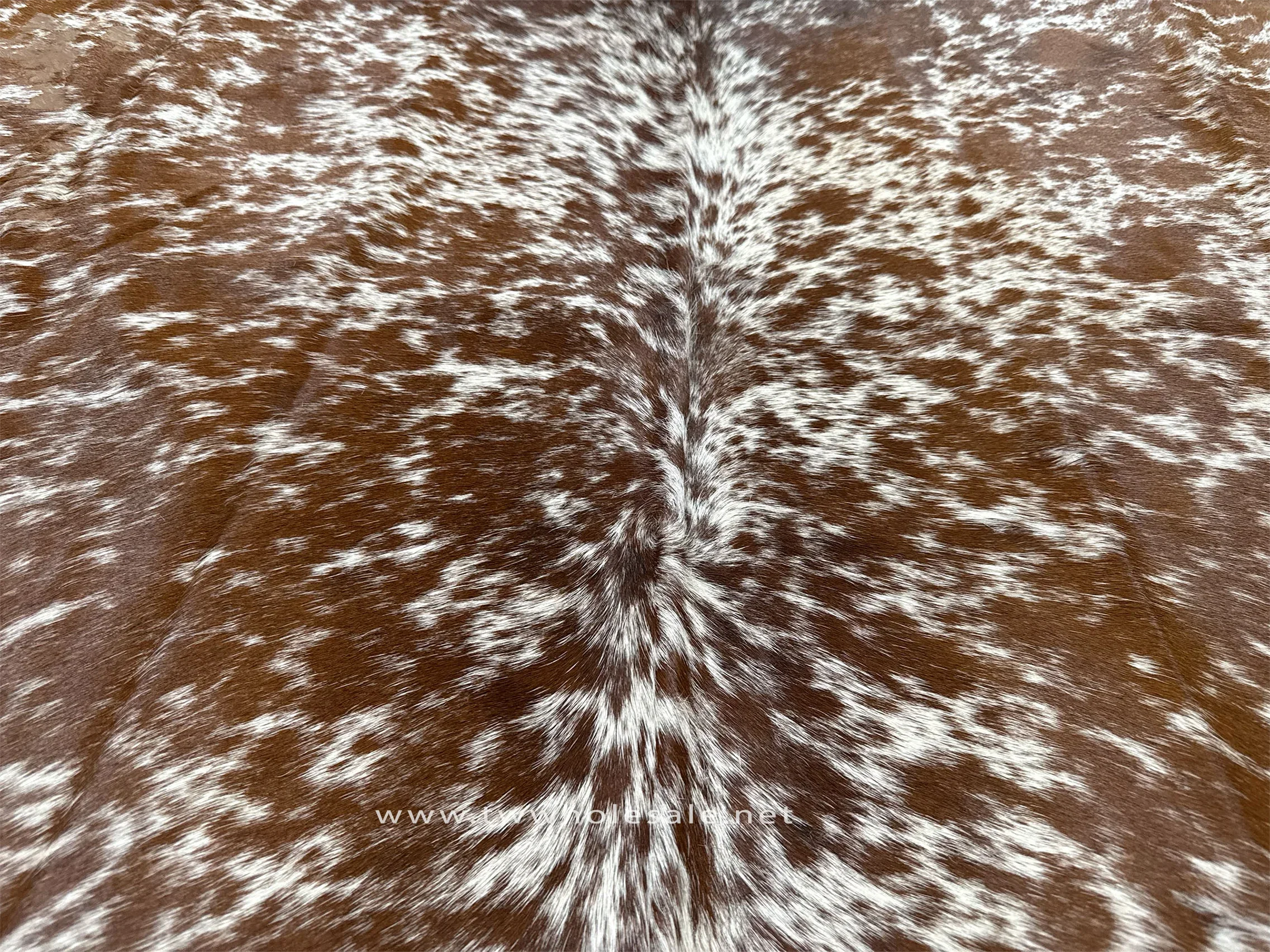 salt pepper brown black white closeup 2011.webp