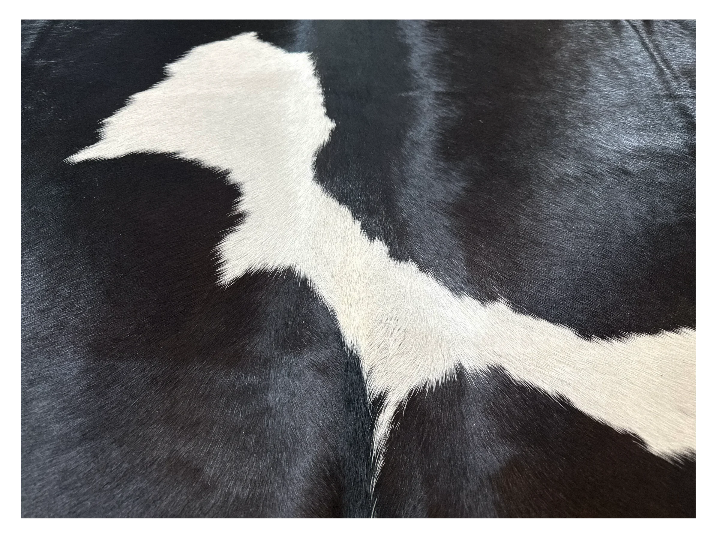 spotted black white closeup cowhide rug # 2017