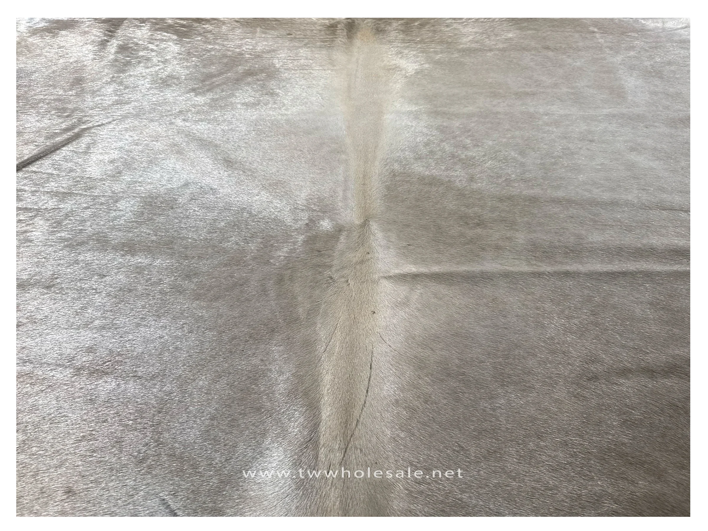 champagne closeup #2024