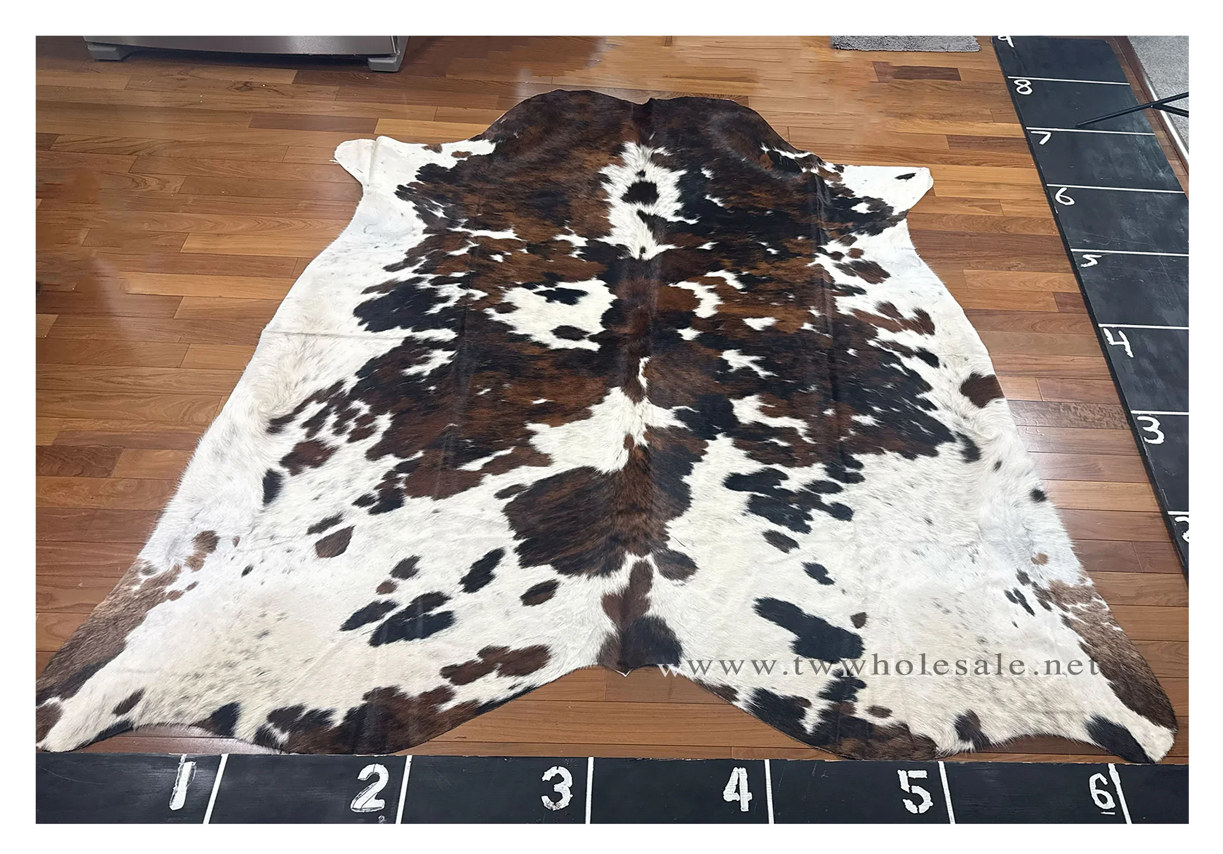 tri-color brindle white black brown #2033
