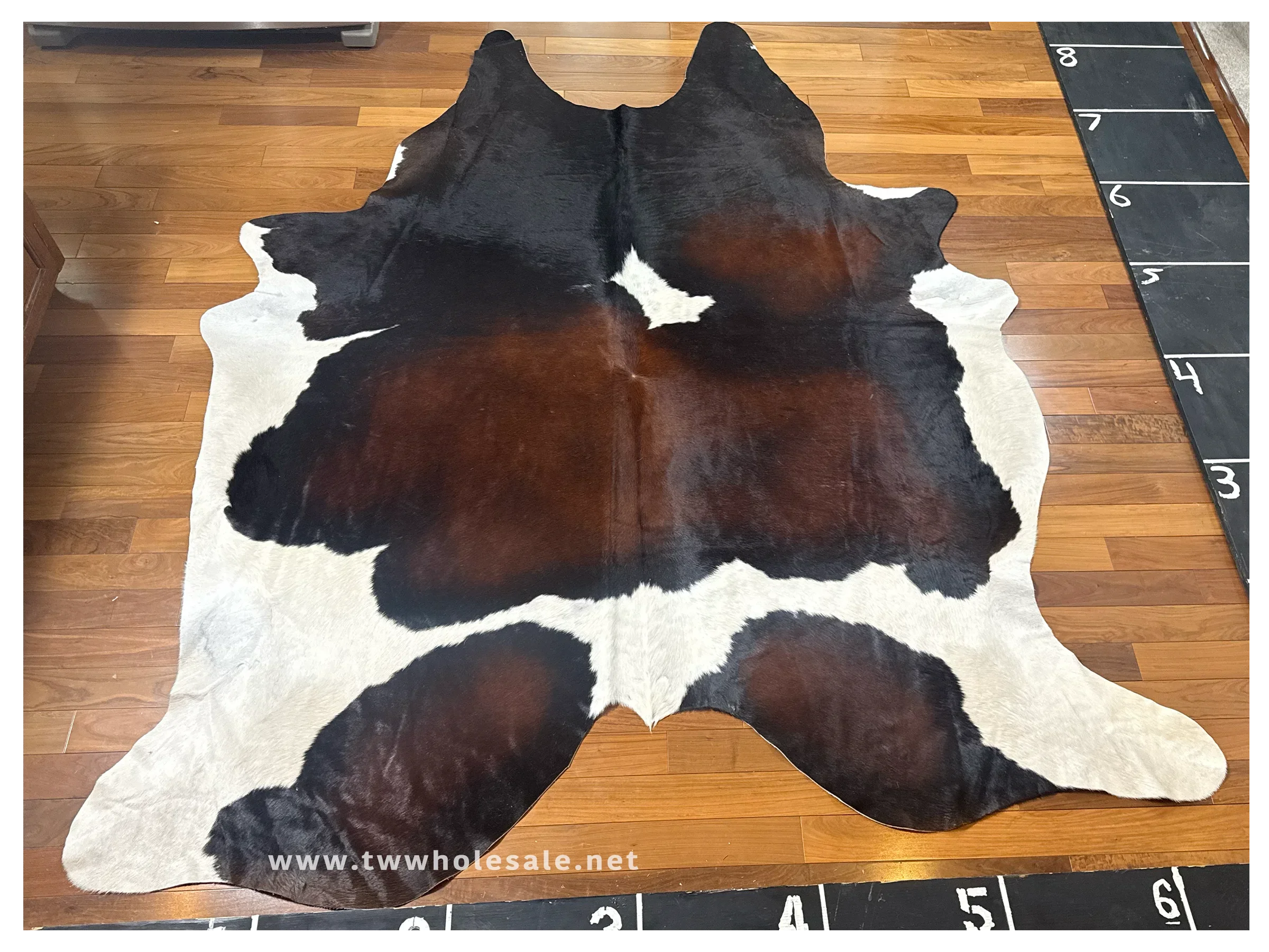 tricolor black brown white 2001.webp
