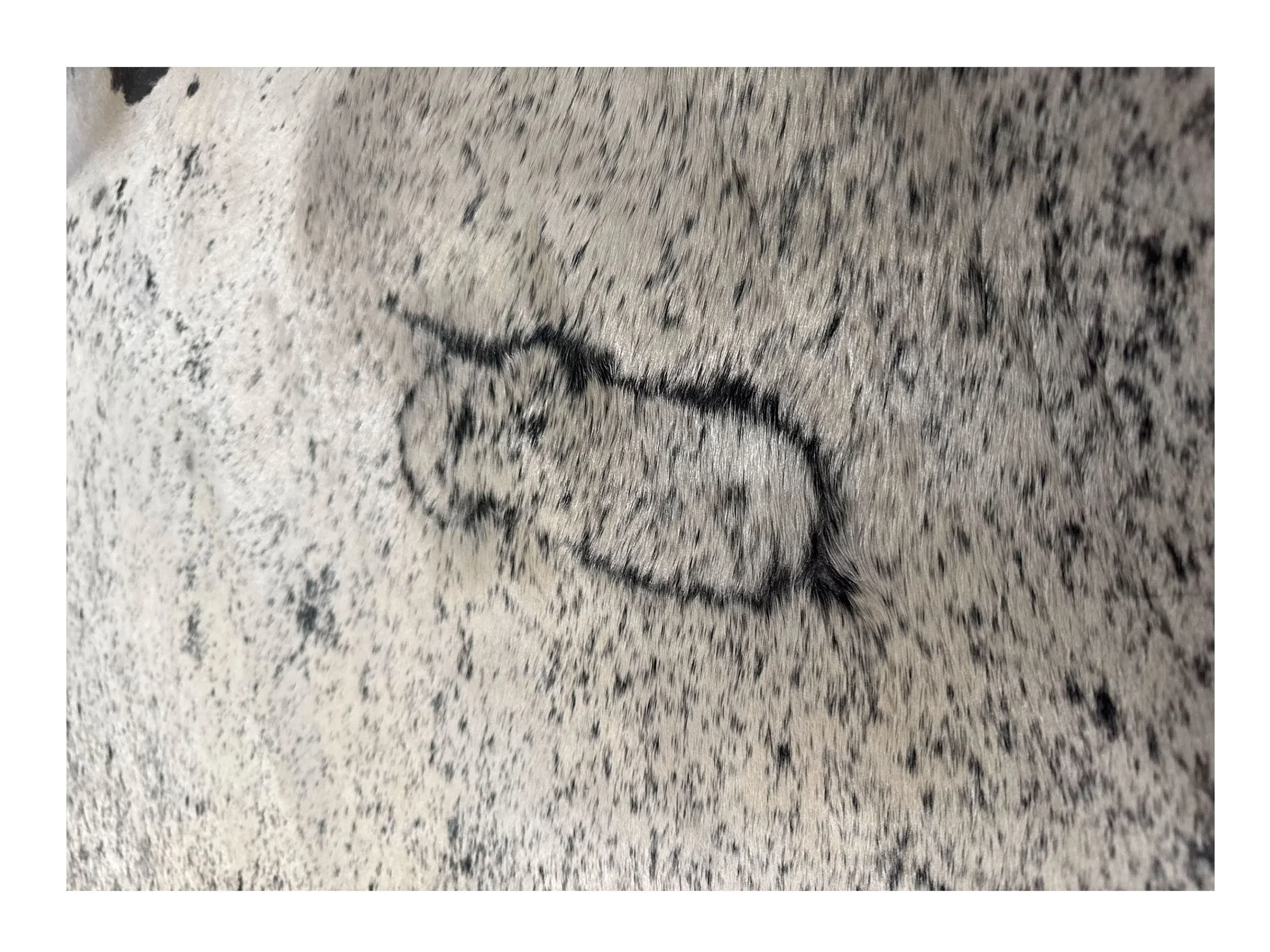 salt pepper black white closeup #2022