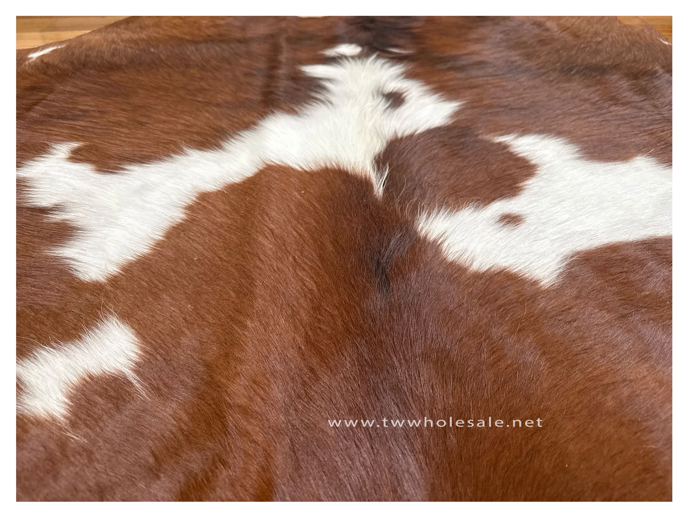 brown white tint black closeup 2009.webp