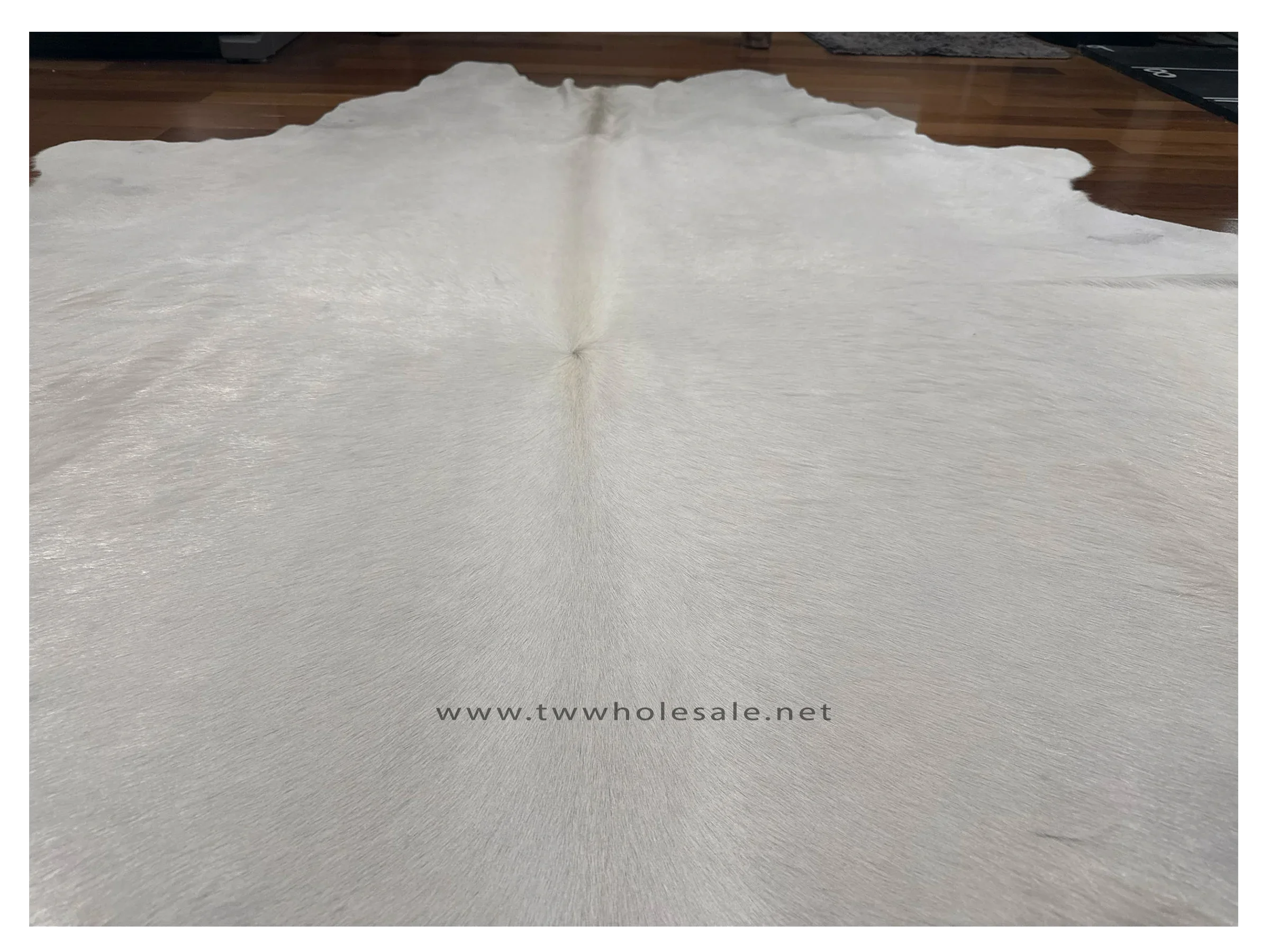 off white closeup cowhide  2047