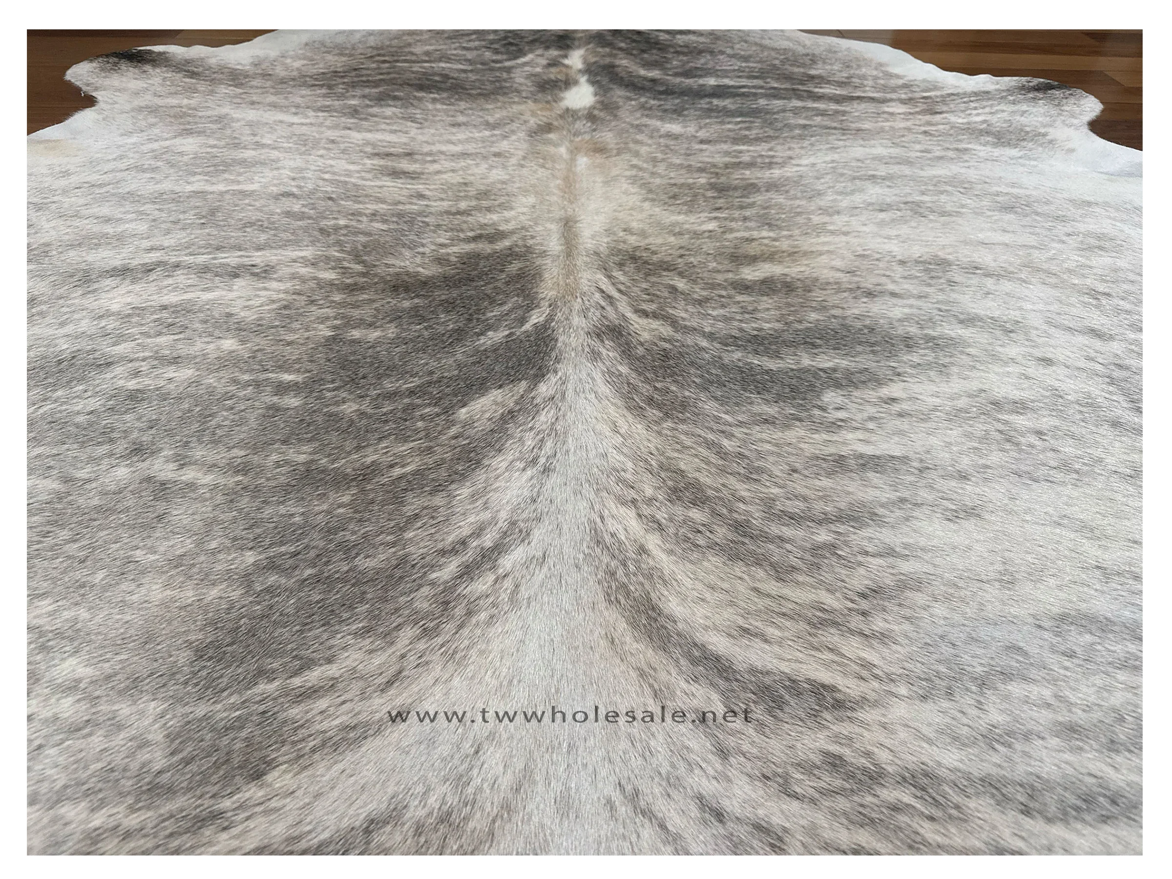 brindle grey white beige closeup 2040.webp