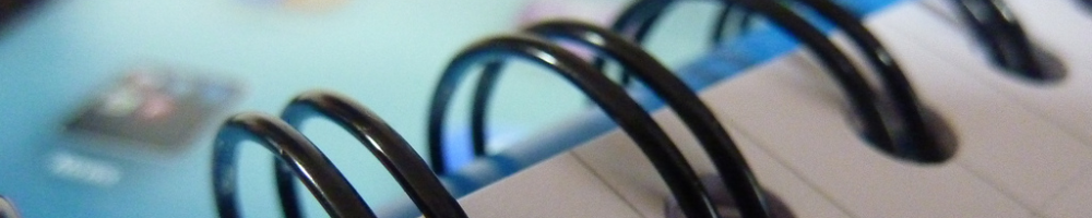 iPad by Sean MacEntee (Flickr).jpg