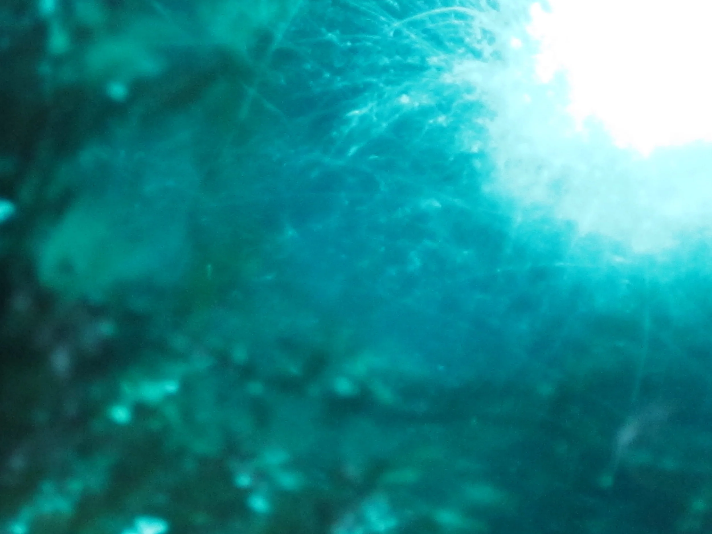 F14.JPG