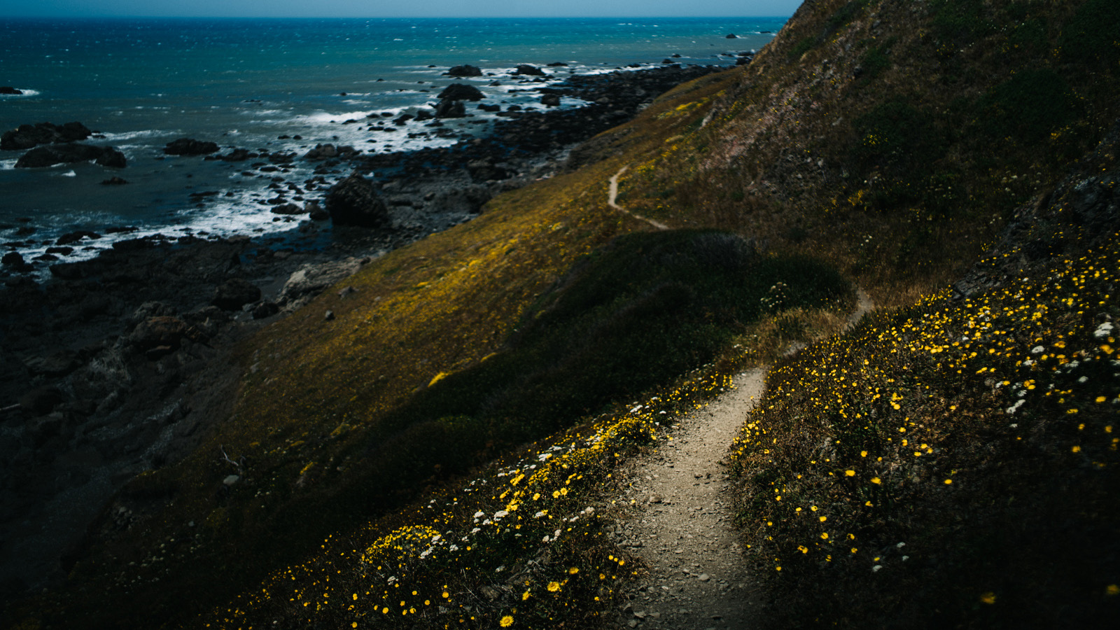 The Lost Coast Trail saw us through just under thirty miles of the longest stretch of totally undeveloped U.S. Pacific coastline outside of Alaska.