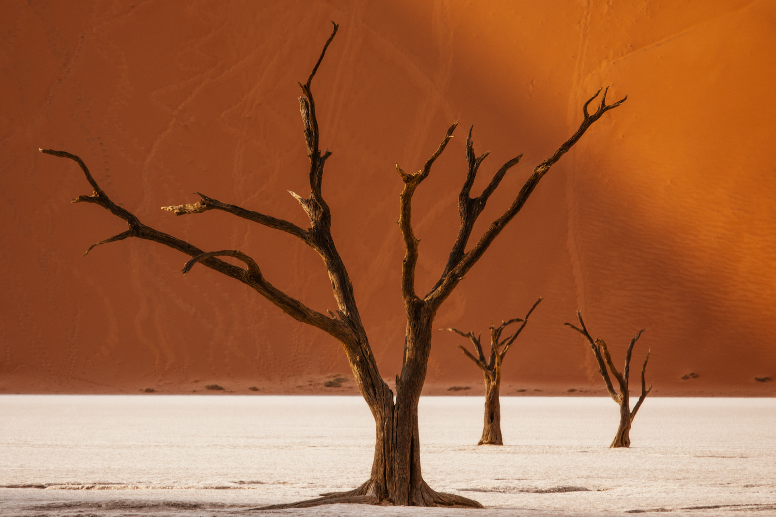 Namibia_p45_46.jpg