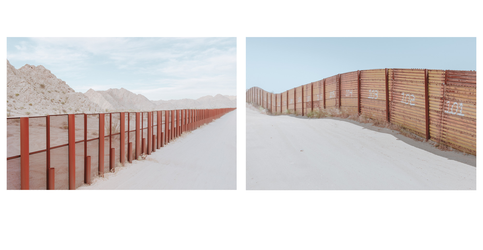 AmericanBackyard4.jpg