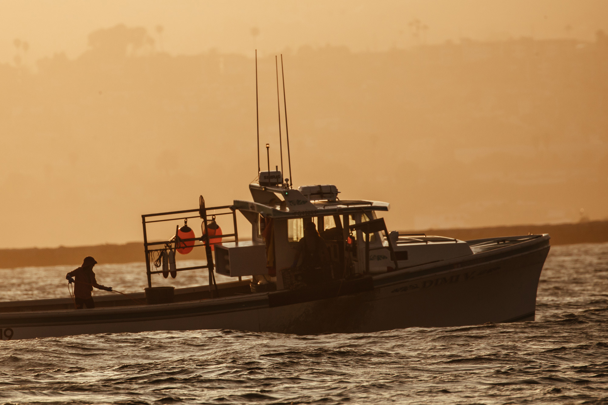 Dory_Fleet_Market_3556.jpg