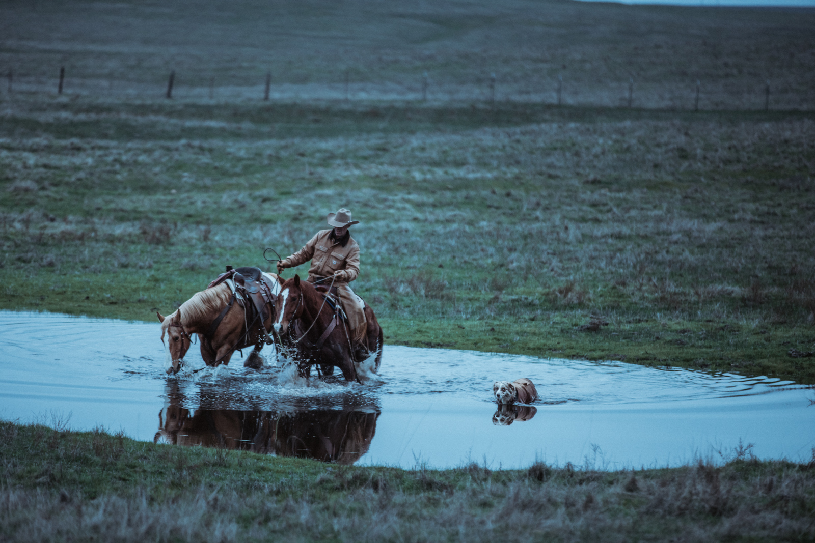 Niederhauser_Ranch_5683.jpg