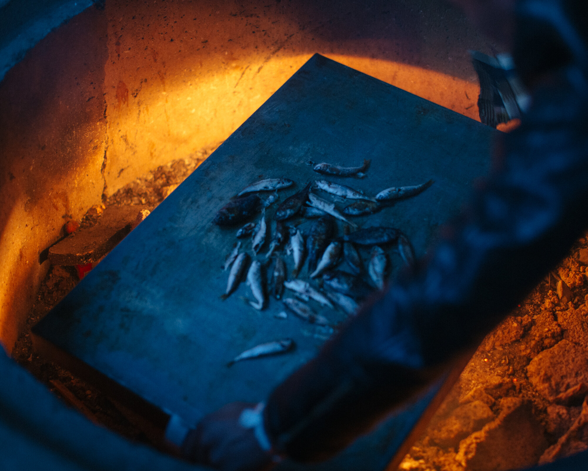  Afghan men cook bite-sized fish they caught in the nearby harbor of the small island of Leros, Greece. 