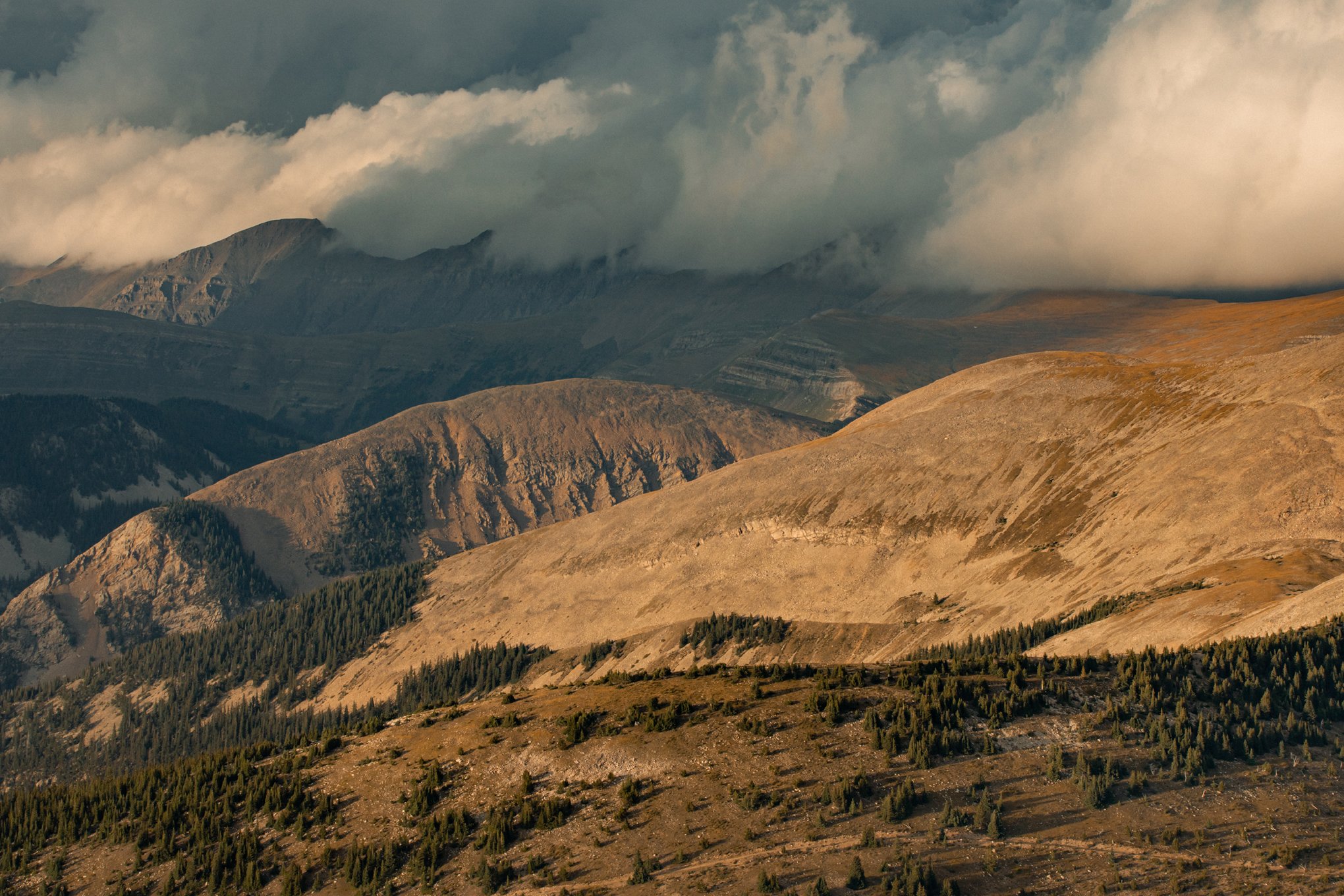 Elliot-Ross-National-Geographic-San-Luis-Valley-acequia-016.jpg