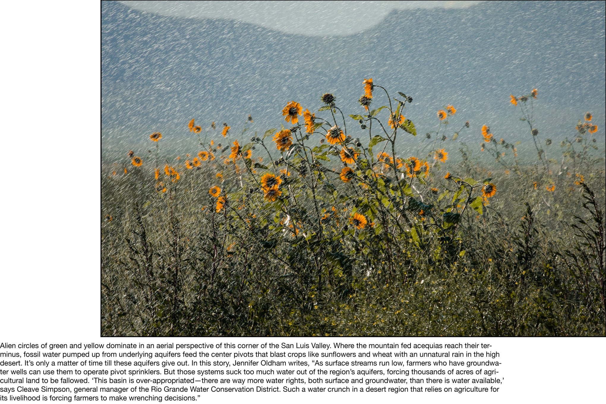 Elliot-Ross-National-Geographic-San-Luis-Valley-acequia-0115.jpg