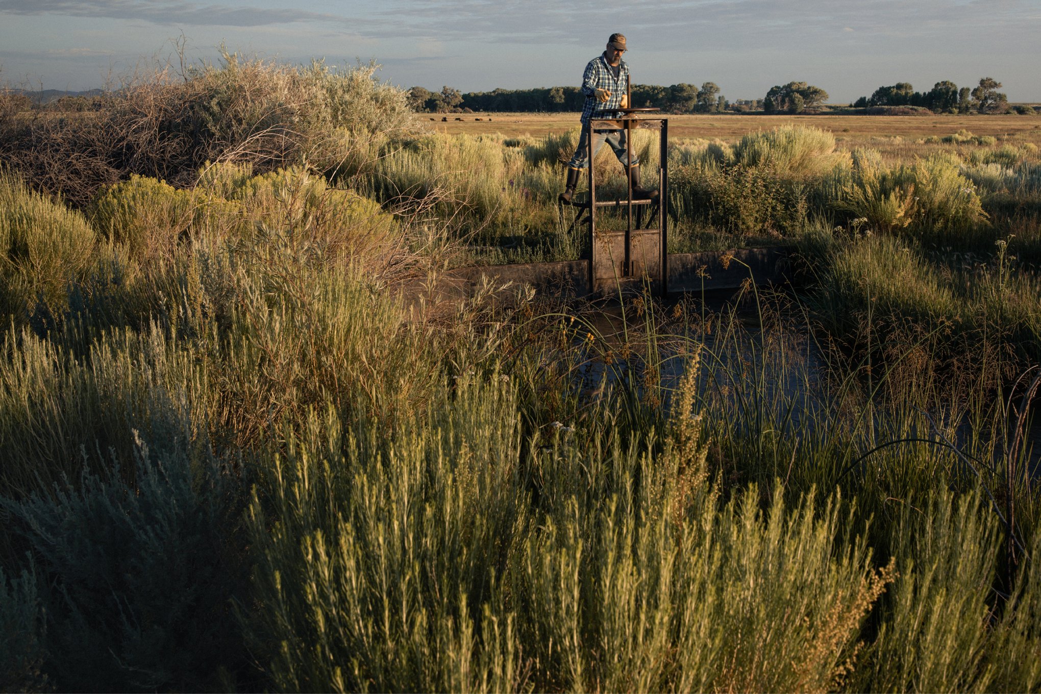 Elliot-Ross-National-Geographic-San-Luis-Valley-acequia-0122.jpg