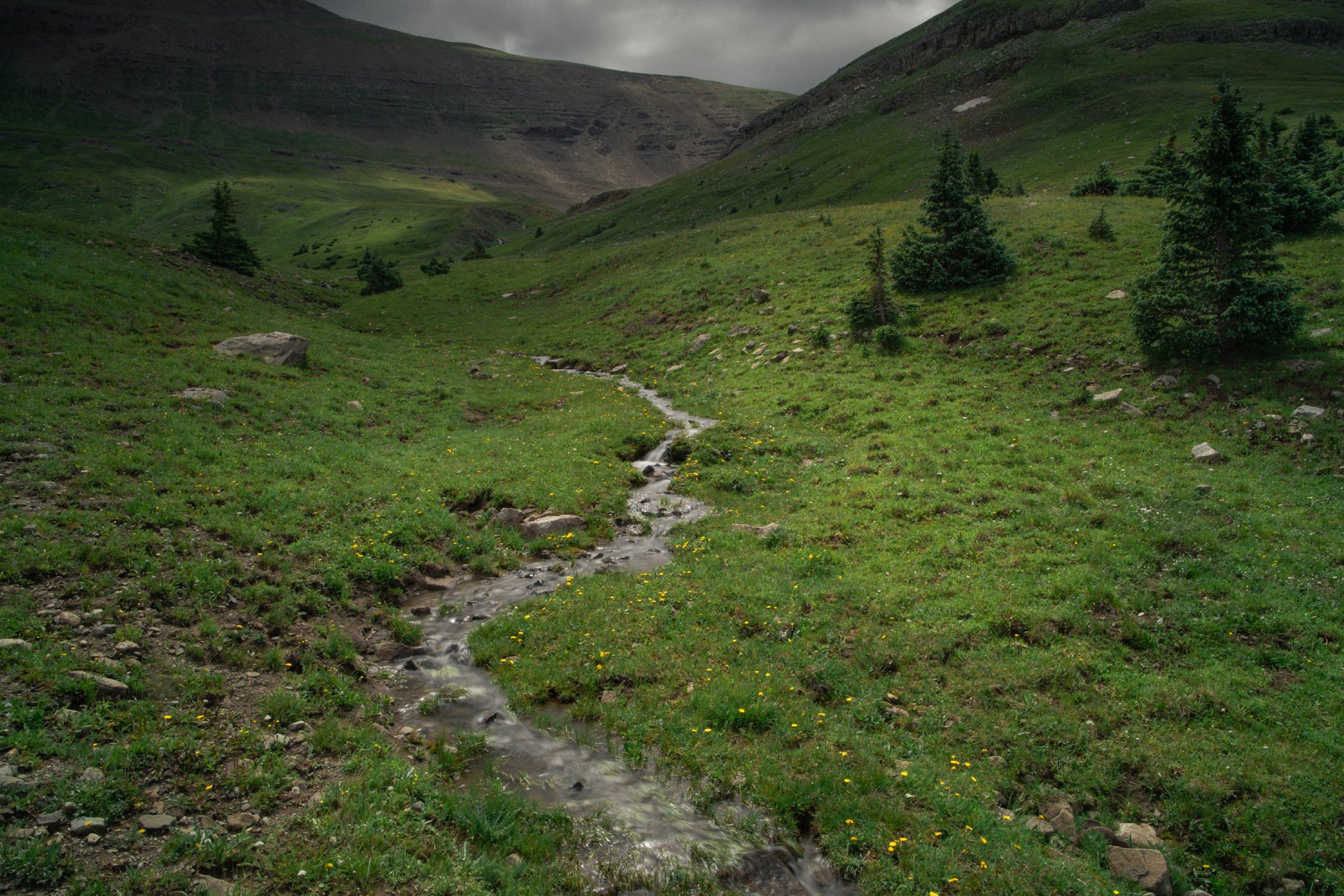 Elliot-Ross-National-Geographic-San-Luis-Valley-acequia-04.jpg