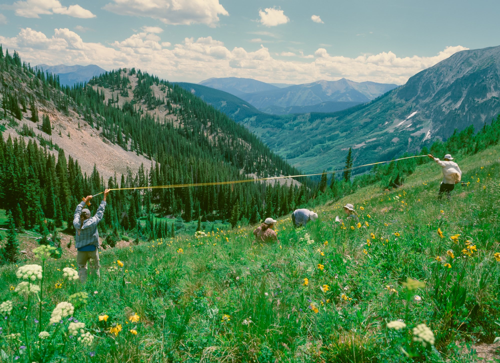 ElliotRoss-photographer_NationalGeographic_phenology_Colorado_climate-change_004.jpg