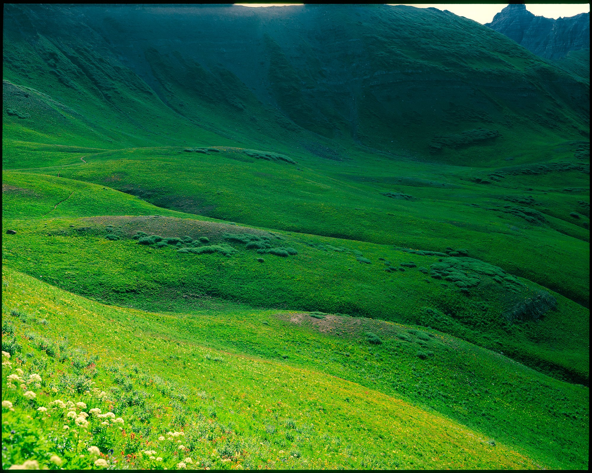 ElliotRoss-photographer_NationalGeographic_phenology_Colorado_climate-change_006.jpg