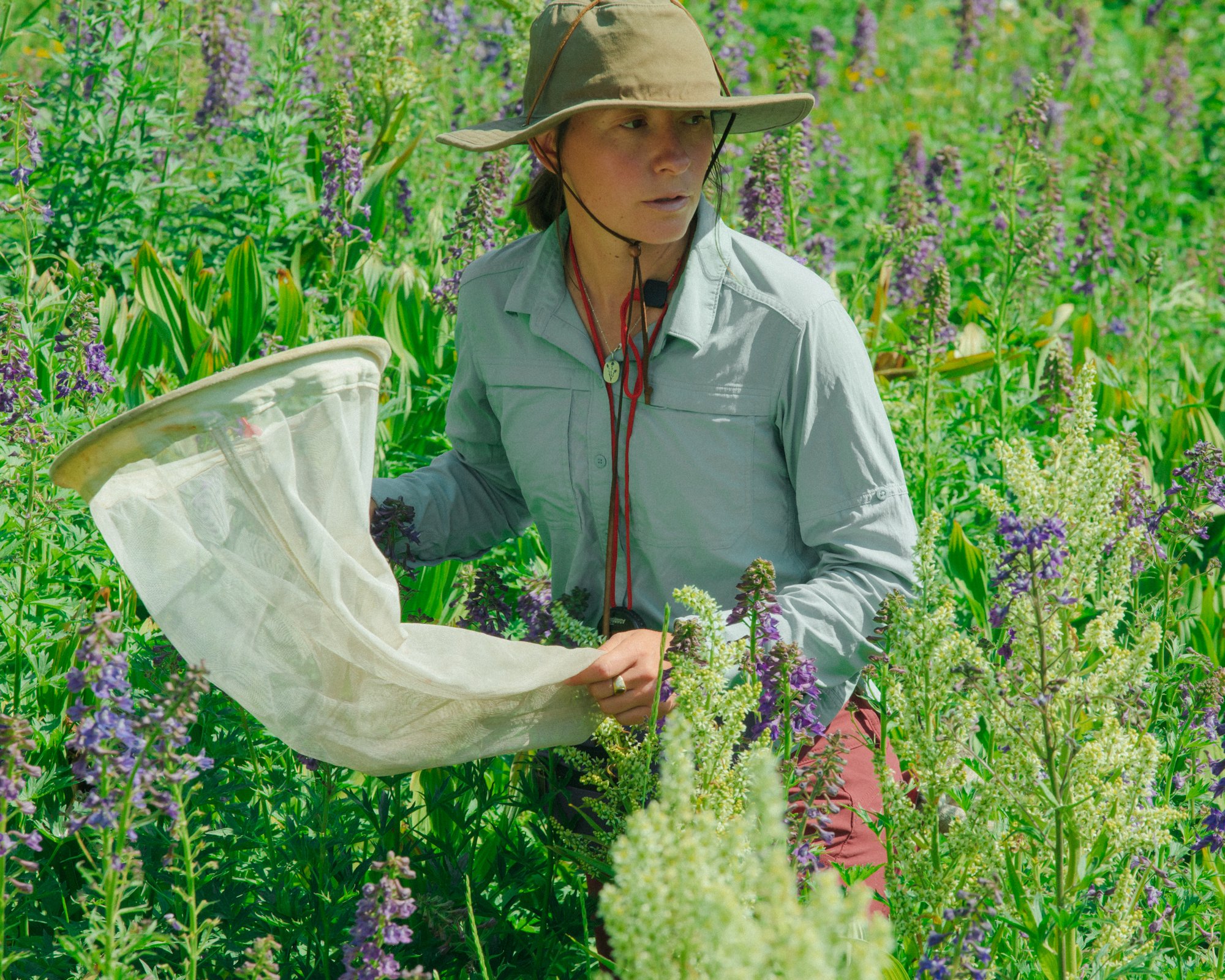 ElliotRoss-photographer_NationalGeographic_phenology_Colorado_climate-change_014.jpg