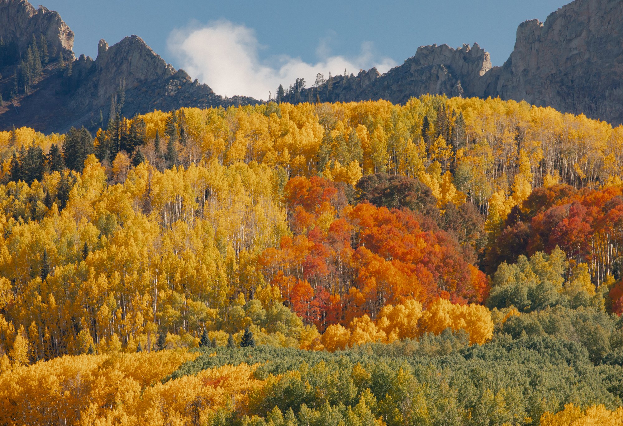 ElliotRoss-photographer_NationalGeographic_phenology_Colorado_climate-change_030.jpg