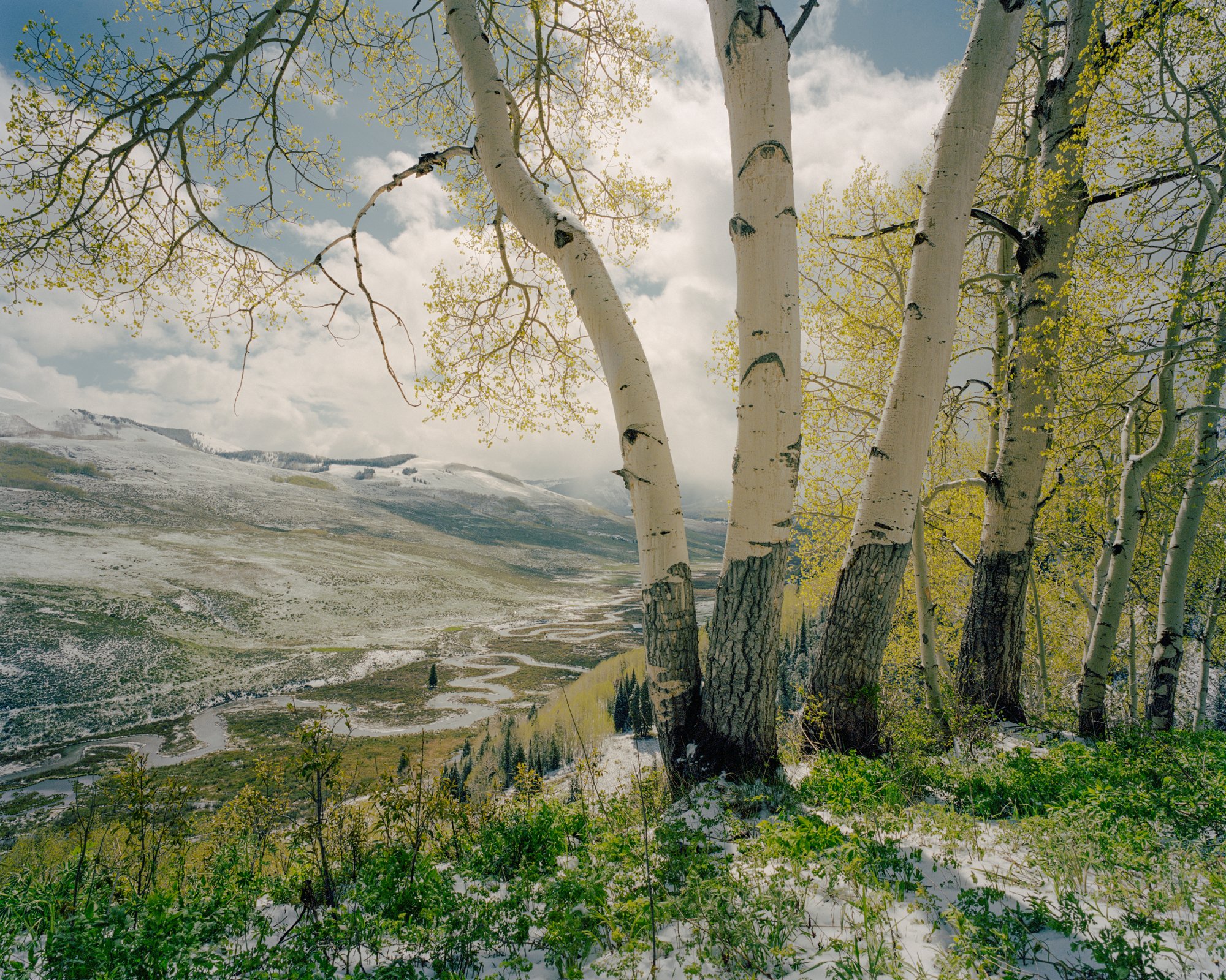 ElliotRoss-photographer_NationalGeographic_phenology_Colorado_climate-change_040.jpg