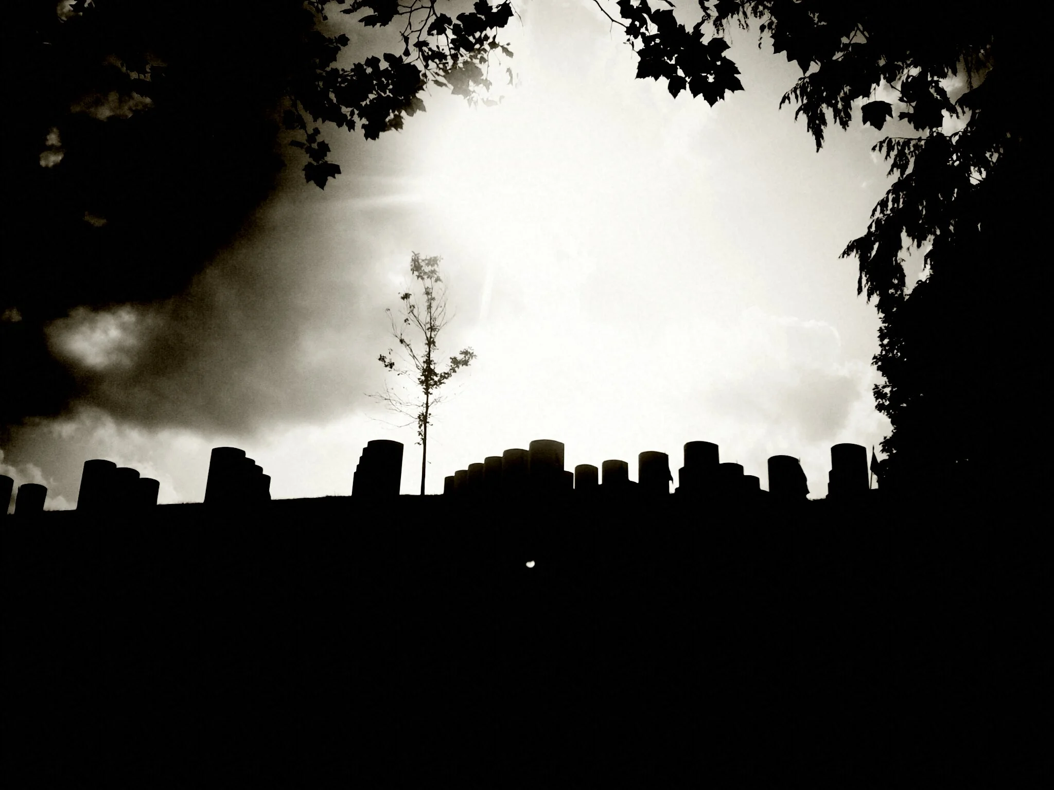 Arlington National Cemetery