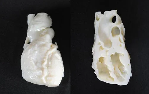 Image Credit: &nbsp;3DPrint.com