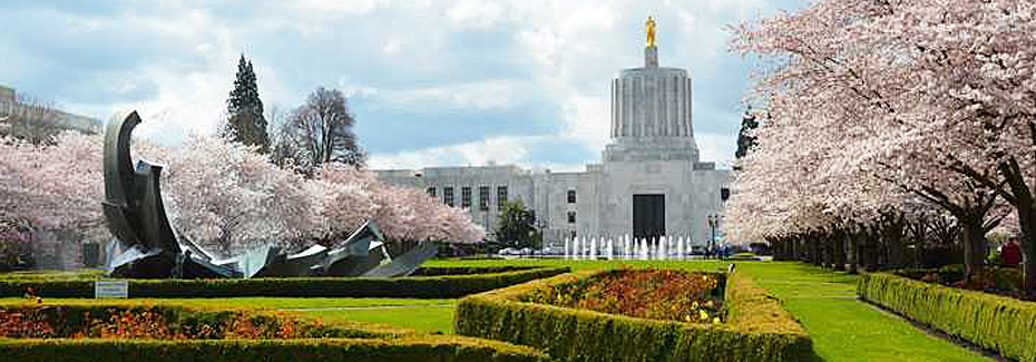 capitolVisit_front.png