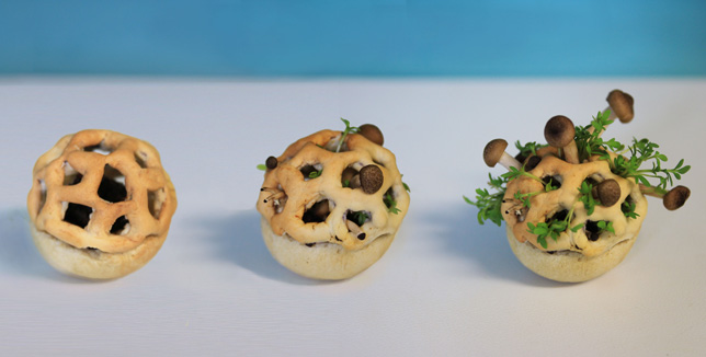 Wish I had been able to print crackers when I worked for Nabisco (Photo Credit: Dezeen.com)