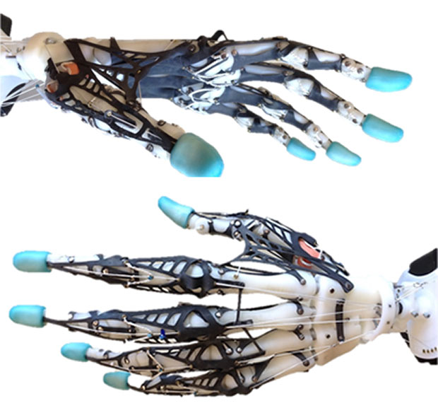 Movement Control Laboratory/University of Washington