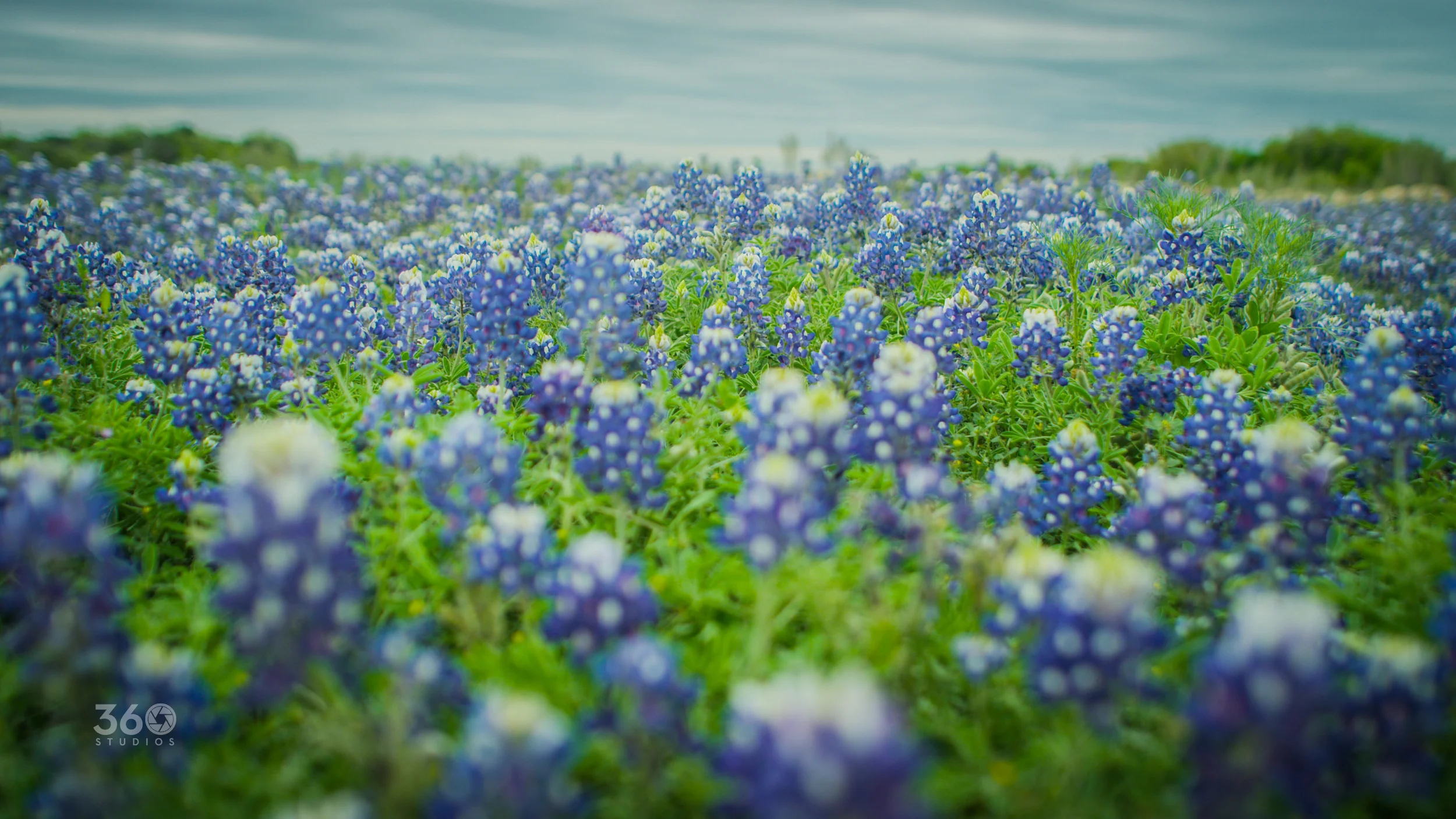B014_C002_04056N