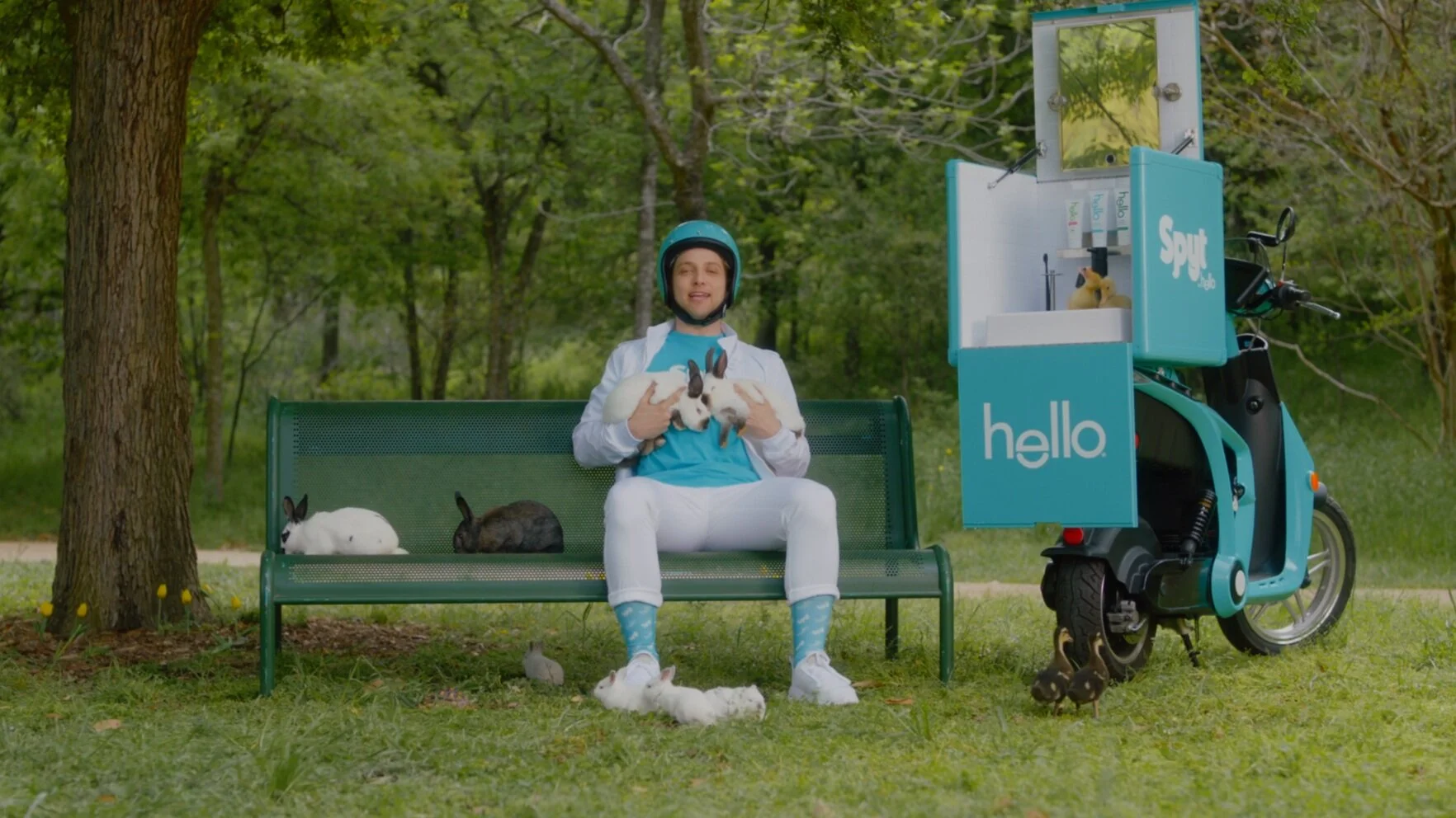 Hello_6_Animals_Final