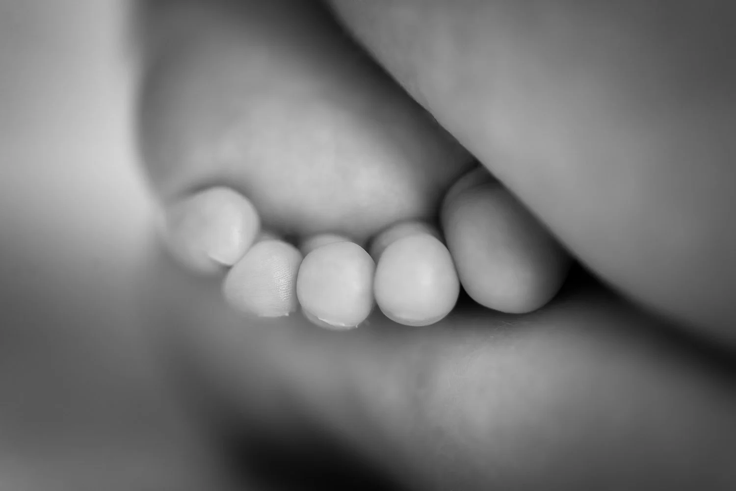 _DSC2402-Edit-Web.jpg