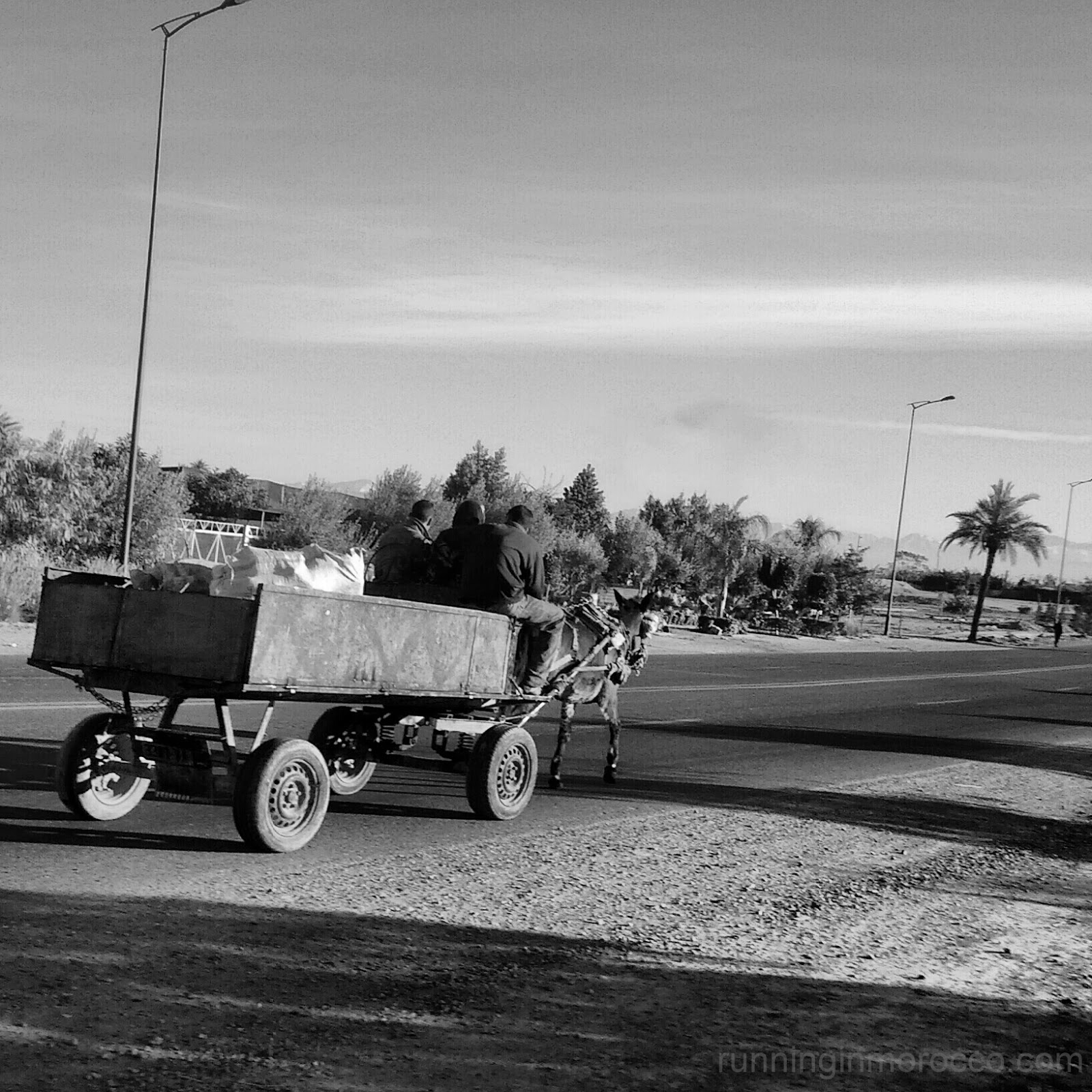 IMG_20130113_095314.jpg