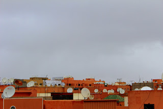 IMG_4911.JPG