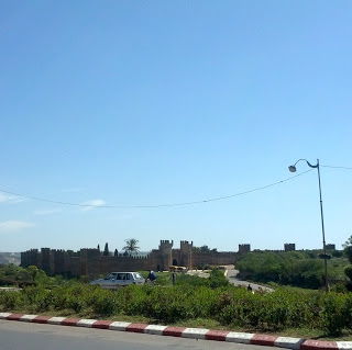 IMG_20130407_102741_1.jpg