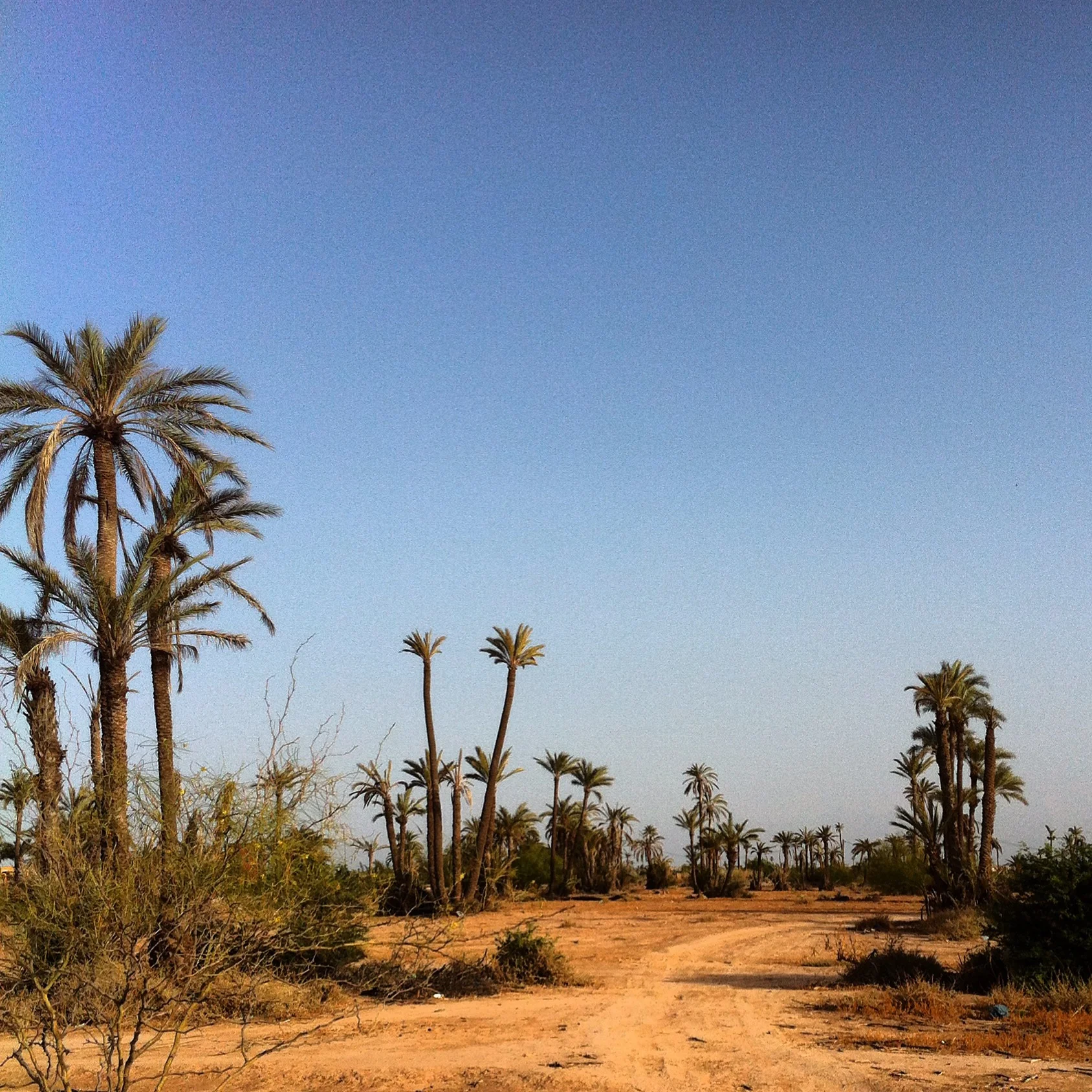 Short trail in Marrakech 